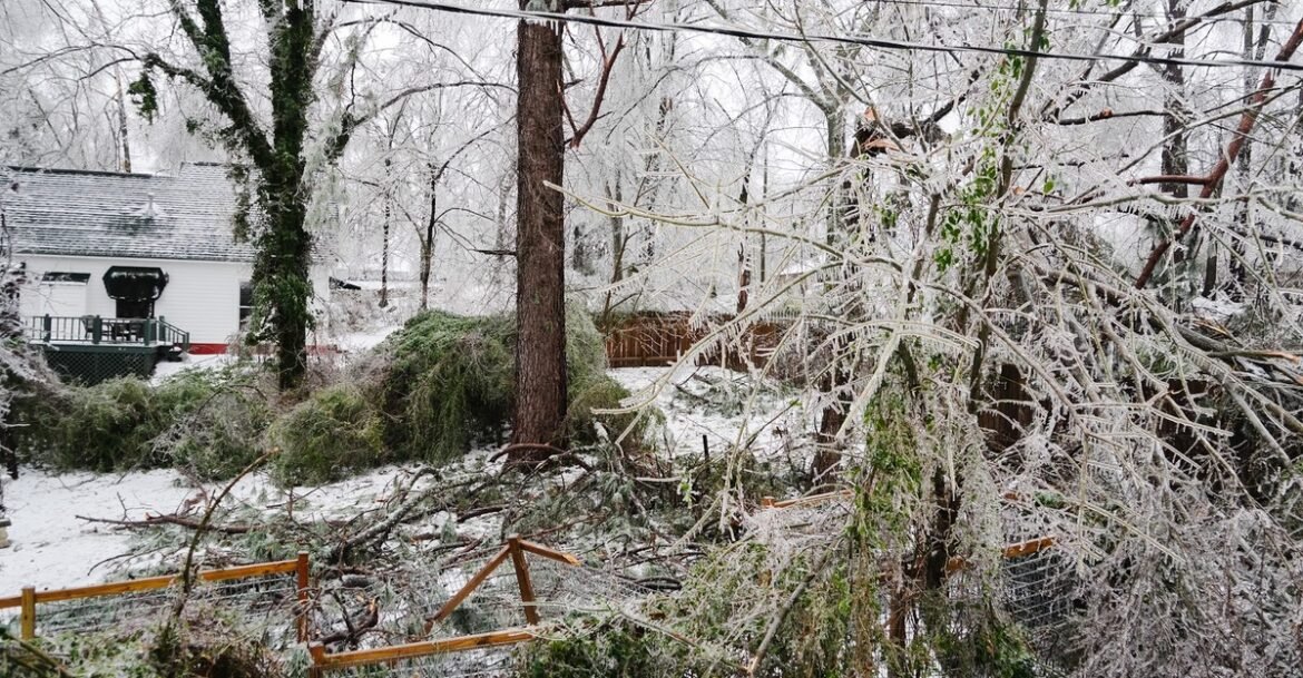 What the Ice Storm Did to Mississippi