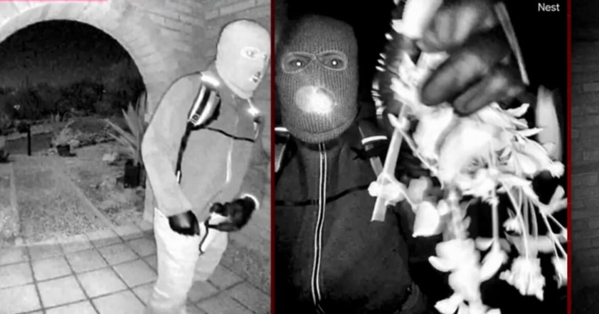 What the detainment in the Guthrie case could mean for the investigation