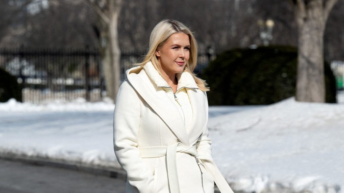 White House's Karoline Leavitt slams celebrities for ICE criticism