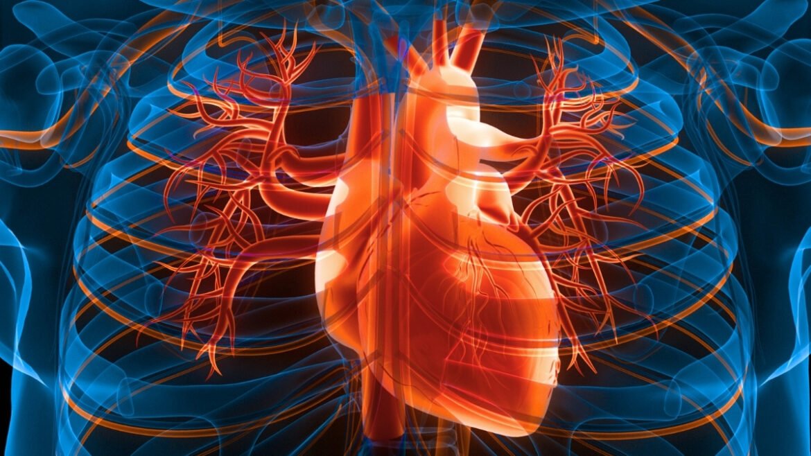 3 Simple Daily Changes Could Lower Your Risk of Heart Attack And Stroke : ScienceAlert