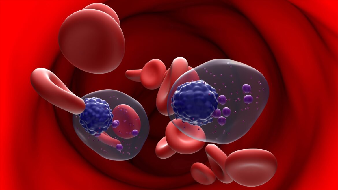 BMS' CELMoD drug improves myeloma survival in ph. 3 study