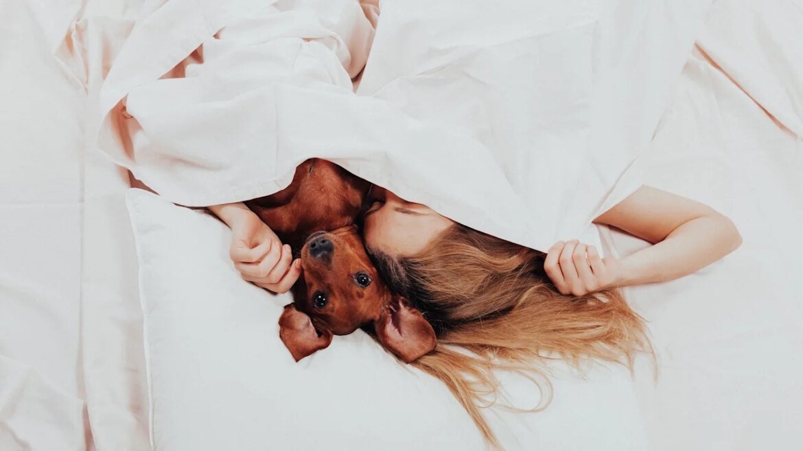 Bad news: Your pets may be ruining your sleep