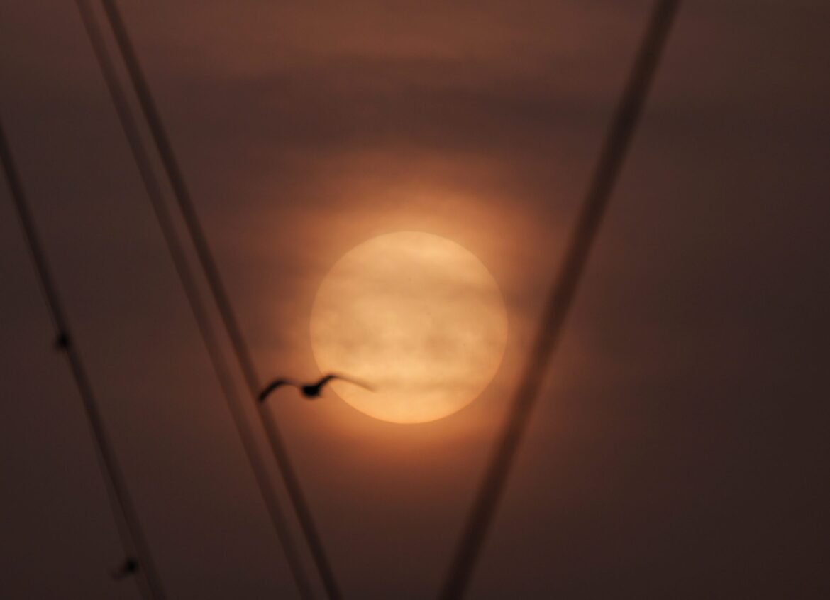 Blood rain spreads across Europe this week