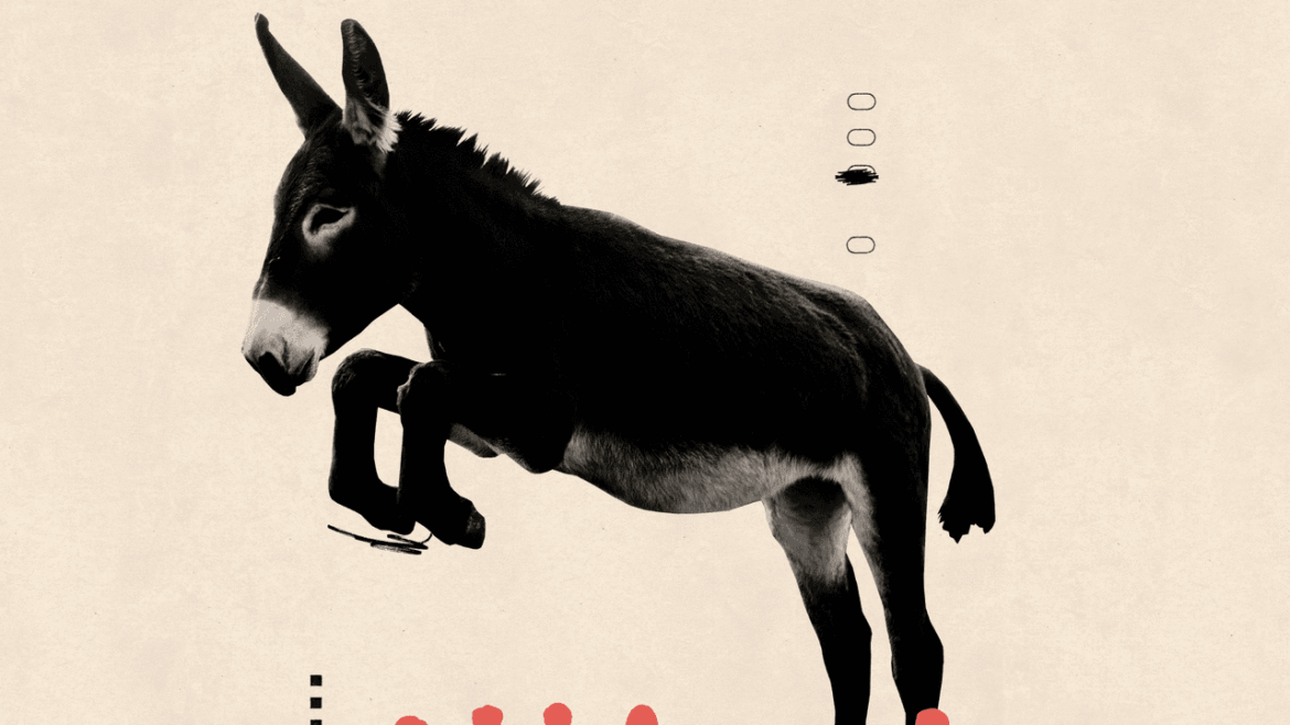 Can the Democrats Get It Together?