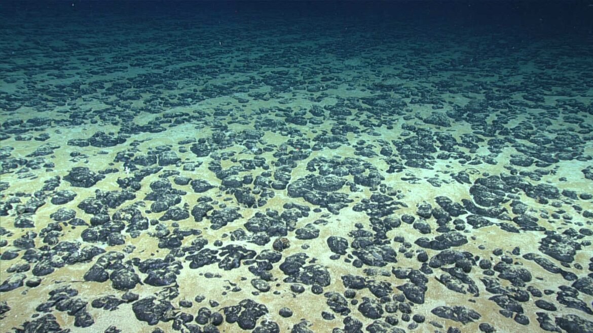 Rocky lumps on the seafloor 