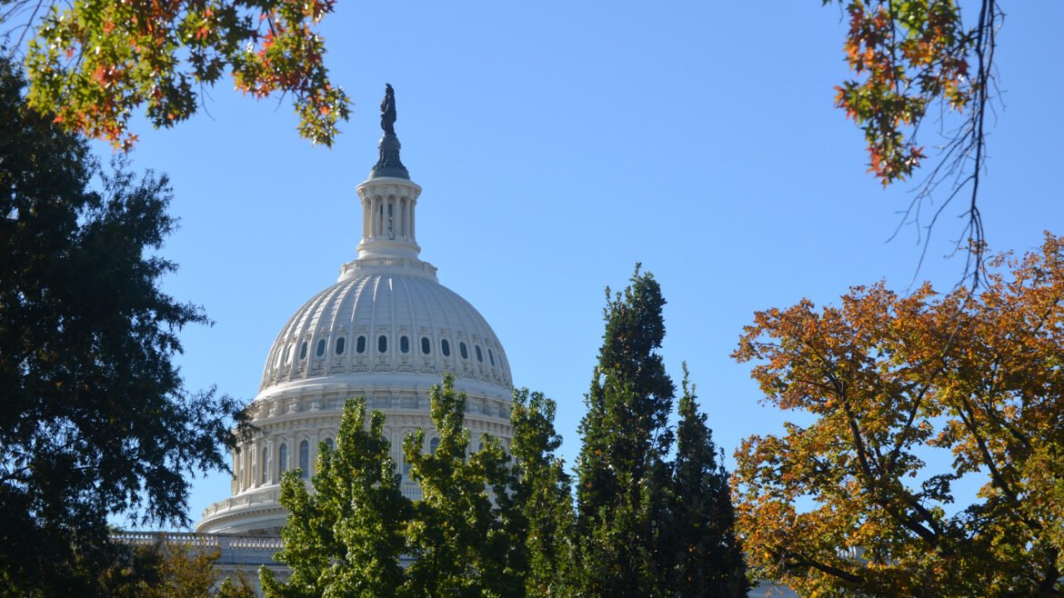 Dozens enter GOP, Democratic primaries for Congress