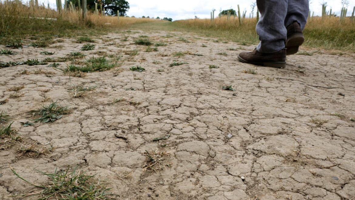 A person wearing black shoes and blue pants is seen walking across a dry dusty landscape with few green patches of grass