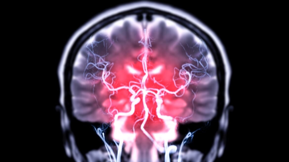 Gut Bacteria May Directly Enter The Brain, Study in Mice Reveals : ScienceAlert