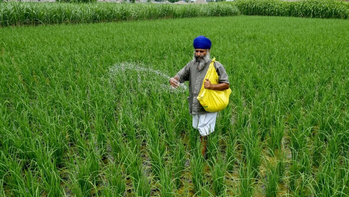 How the Iran war threatens global food supply : NPR