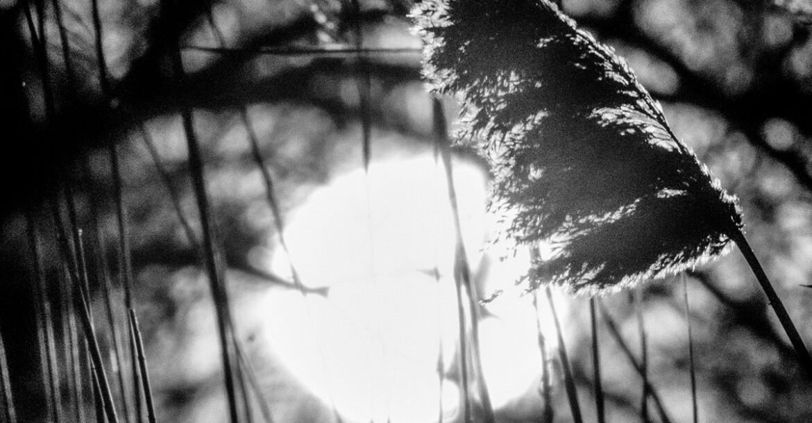 Lyric poems by Jake Rose: From ‘JOAN’