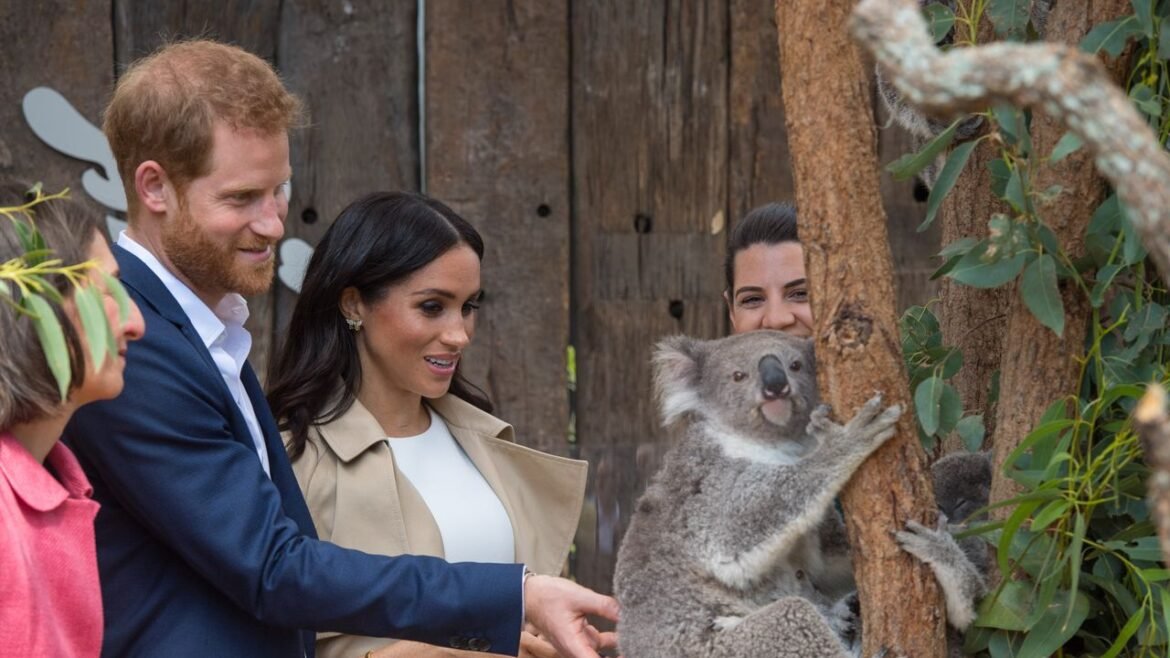 Meghan Markle and Prince Harry Are Headed To Australia