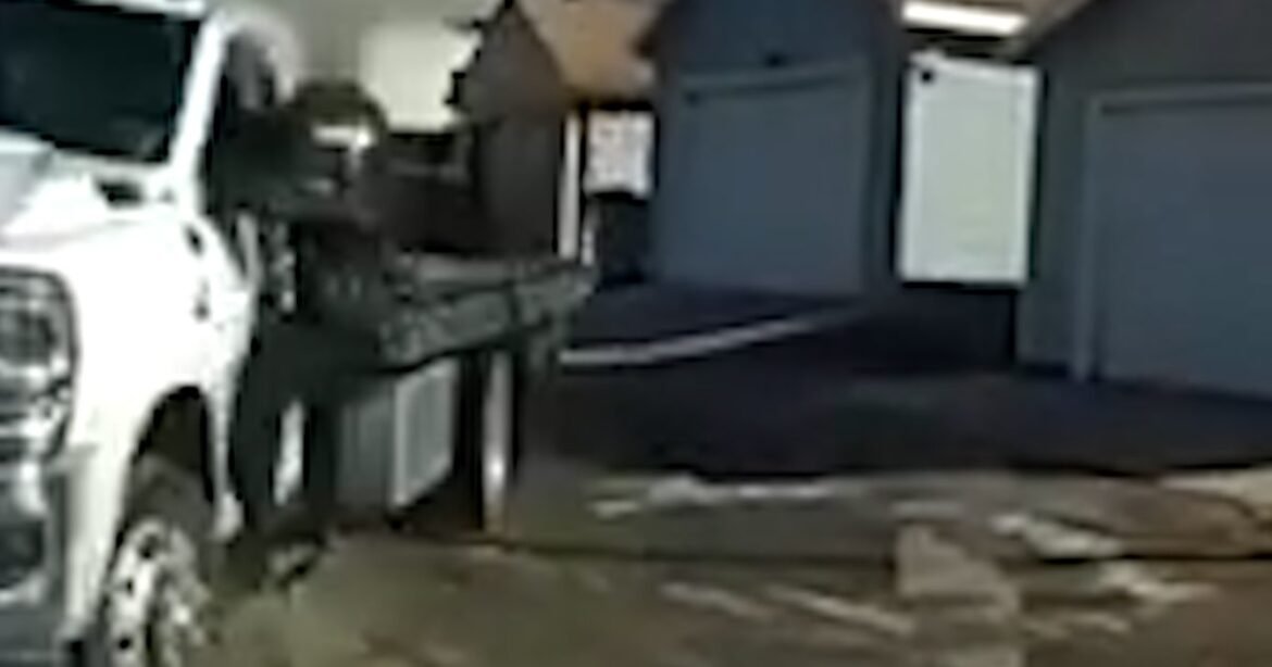 Officer hangs off truck before fatally shooting driver