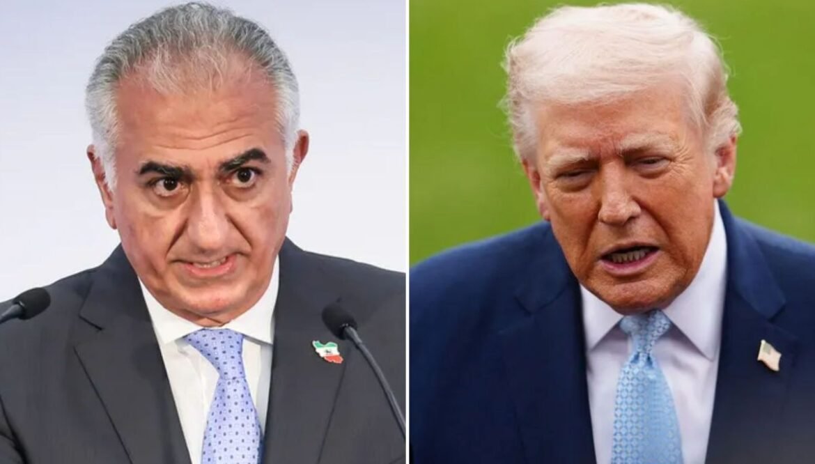 Pahlavi pleads with Trump to back off strike threat over Hormuz