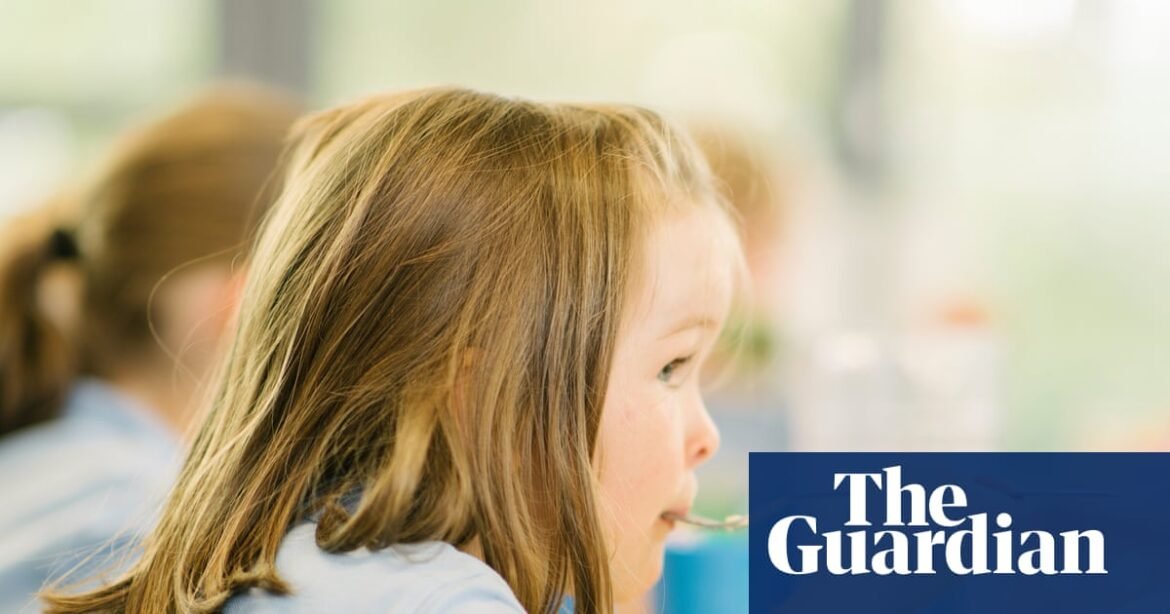 Schools in England must be compelled to offer pupils healthy food, not junk | School meals