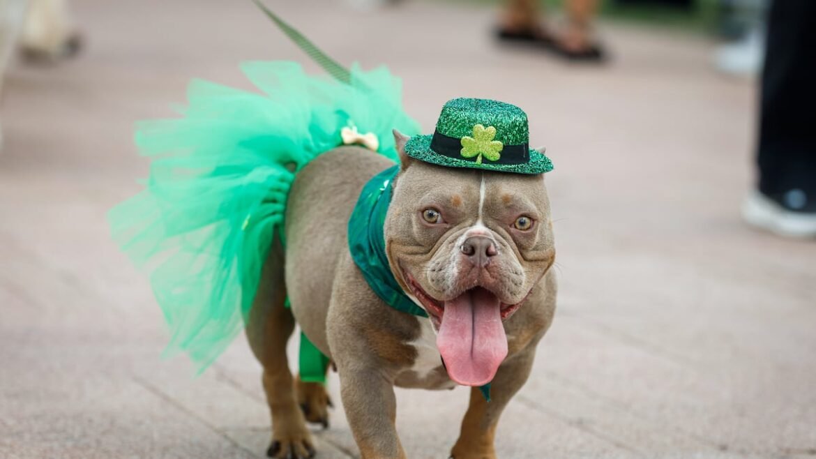 See images as Tampa celebrates St. Patrick’s Day with River O’Green