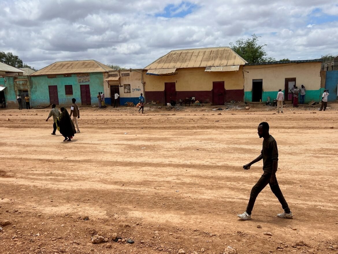 Somali army takes over key city in Southwest as state leader resigns | Military News