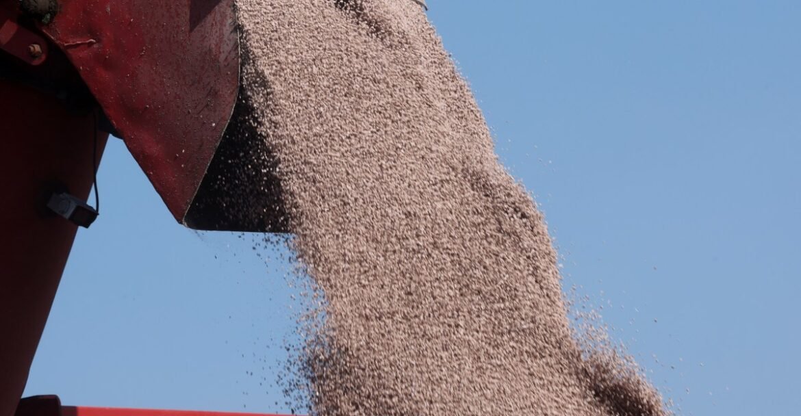 The Iran war threatens something more important than oil prices