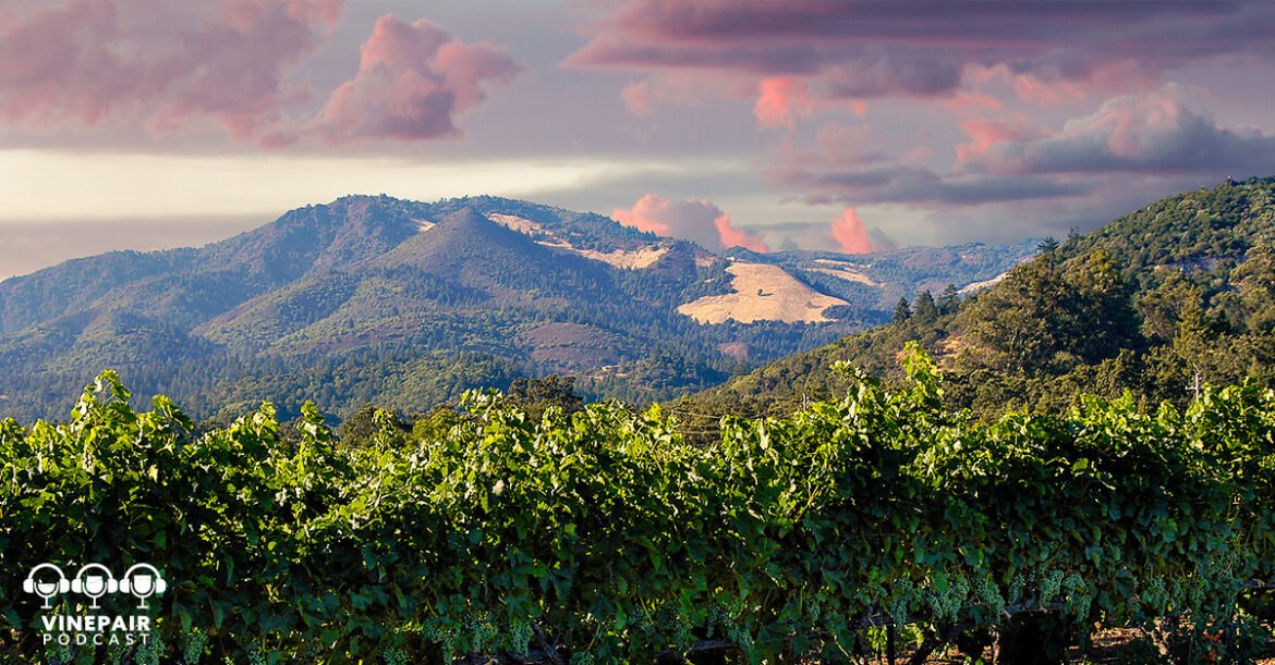 The VinePair Podcast: Taking the Temperature of Sonoma