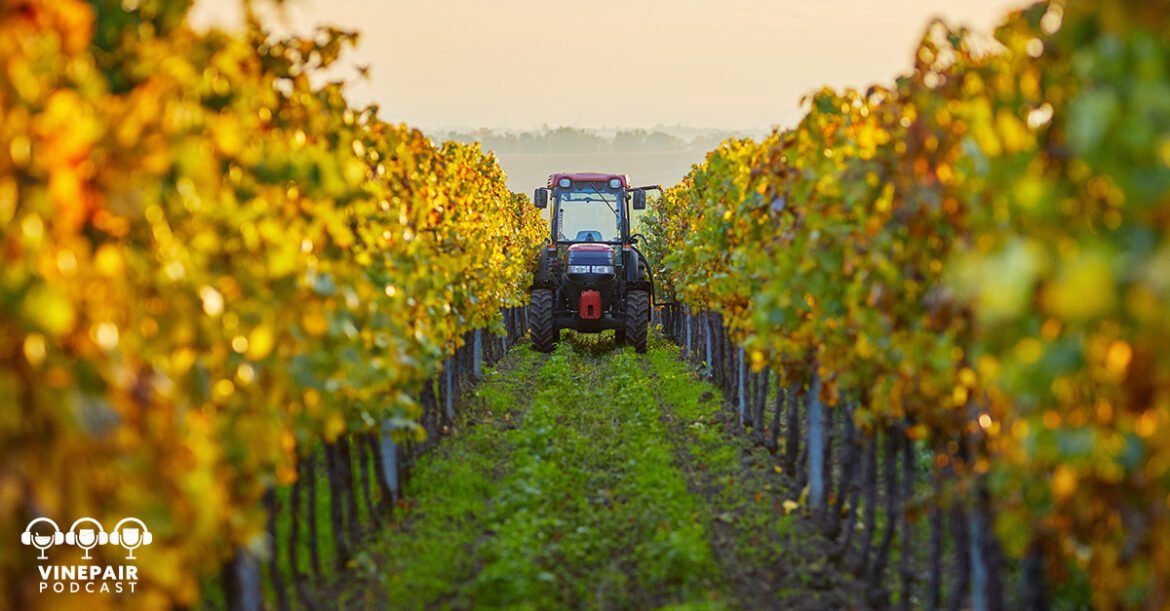 The VinePair Podcast: The Wine World's Worst Cliché