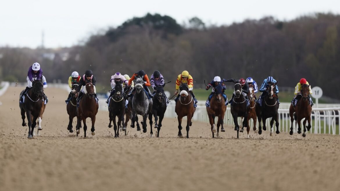 Runners and riders during the BetUK All-Weather Easter Classic Middle Distance Handicap at Newcastle Racecourse