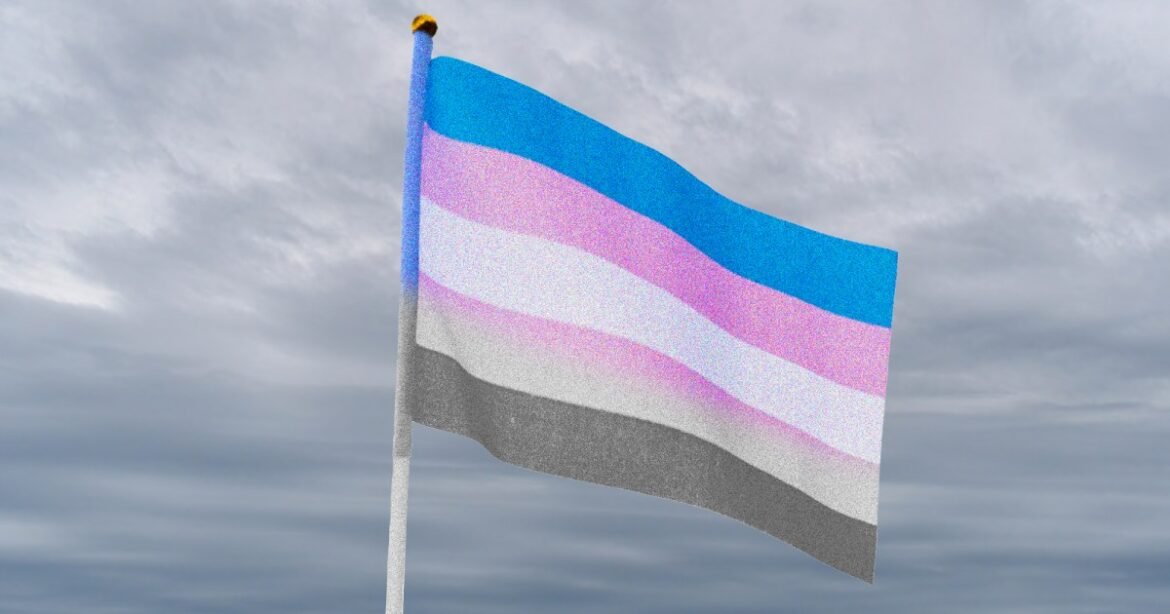 Trump’s Minions Have Quietly Disappeared Most Federal Data on Gender Identity – Mother Jones