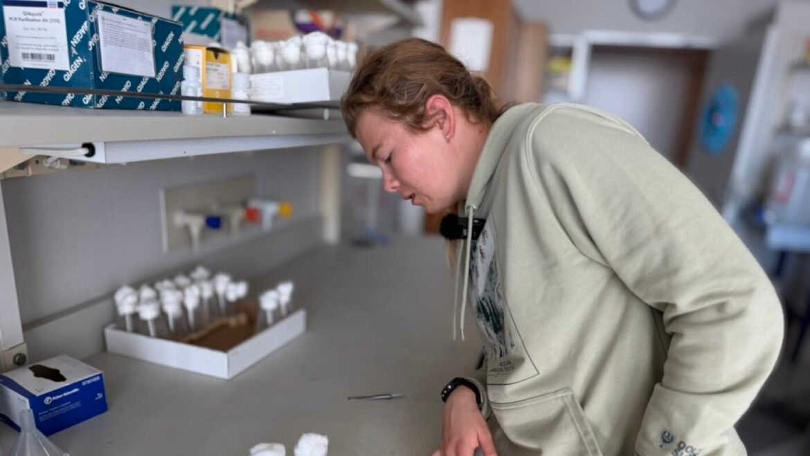 U.S. skier balances Paralympic training and research : NPR