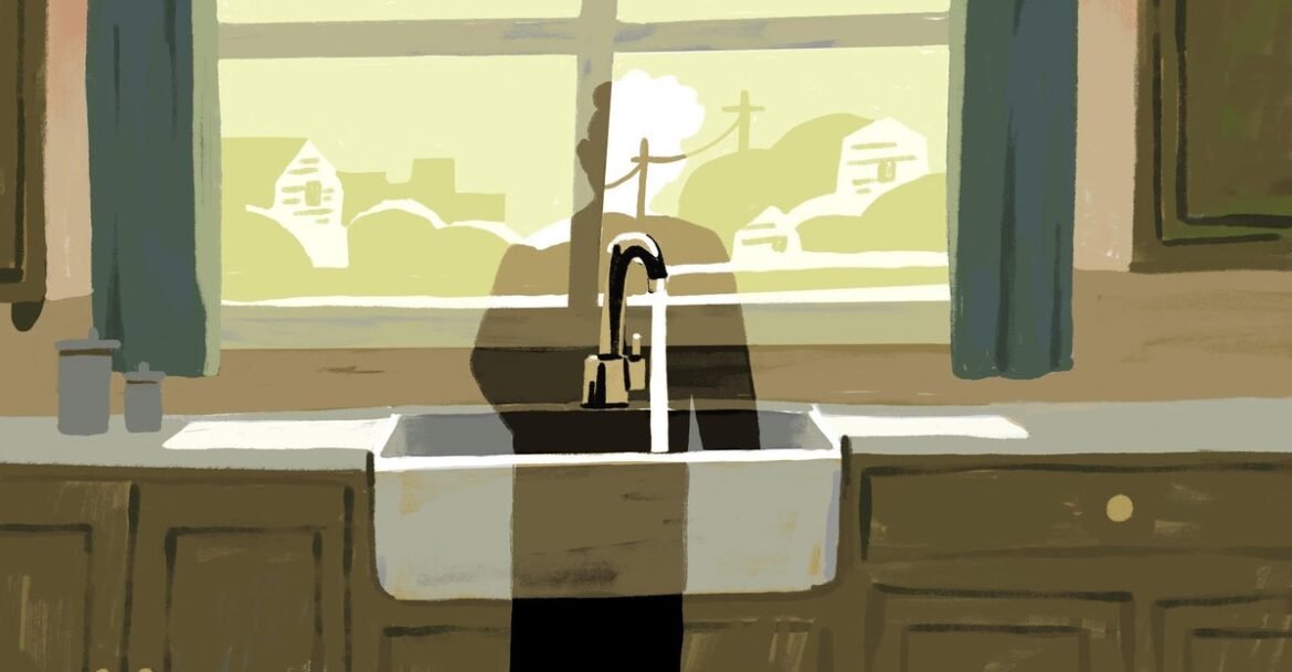 What Happened to the Radicals?