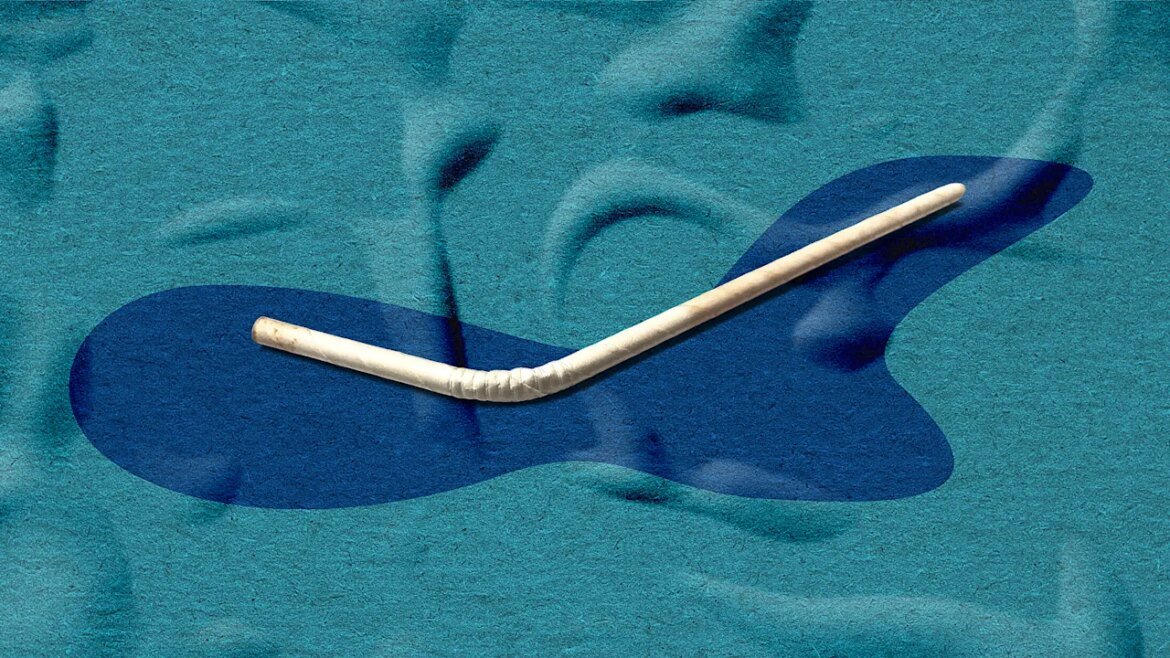 Why sustainable products fail—and what actually gets people to use them