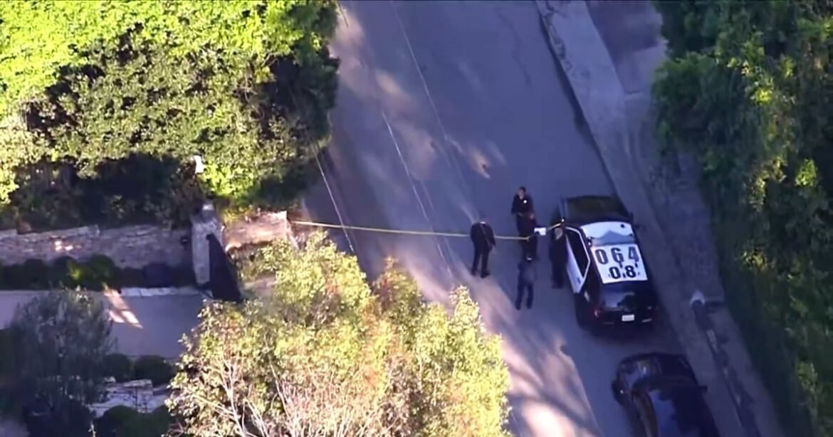 Woman arrested after allegedly firing shots at Rihanna's L.A. home, police say