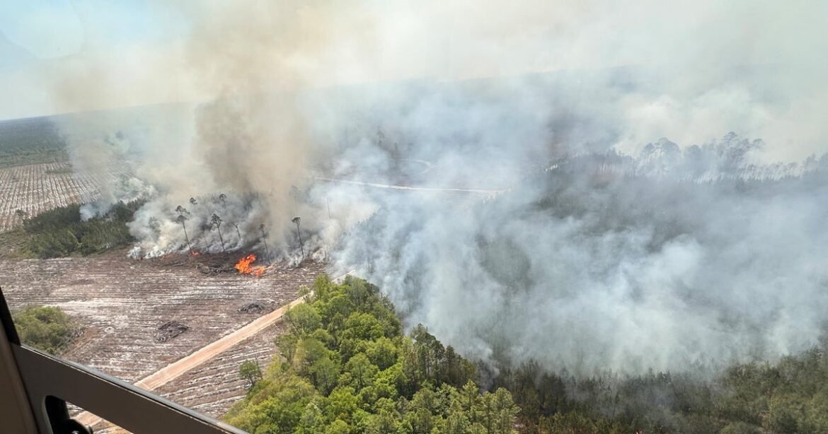 2 massive Georgia wildfires destroy more than 120 homes, scorch over 40,000 acres