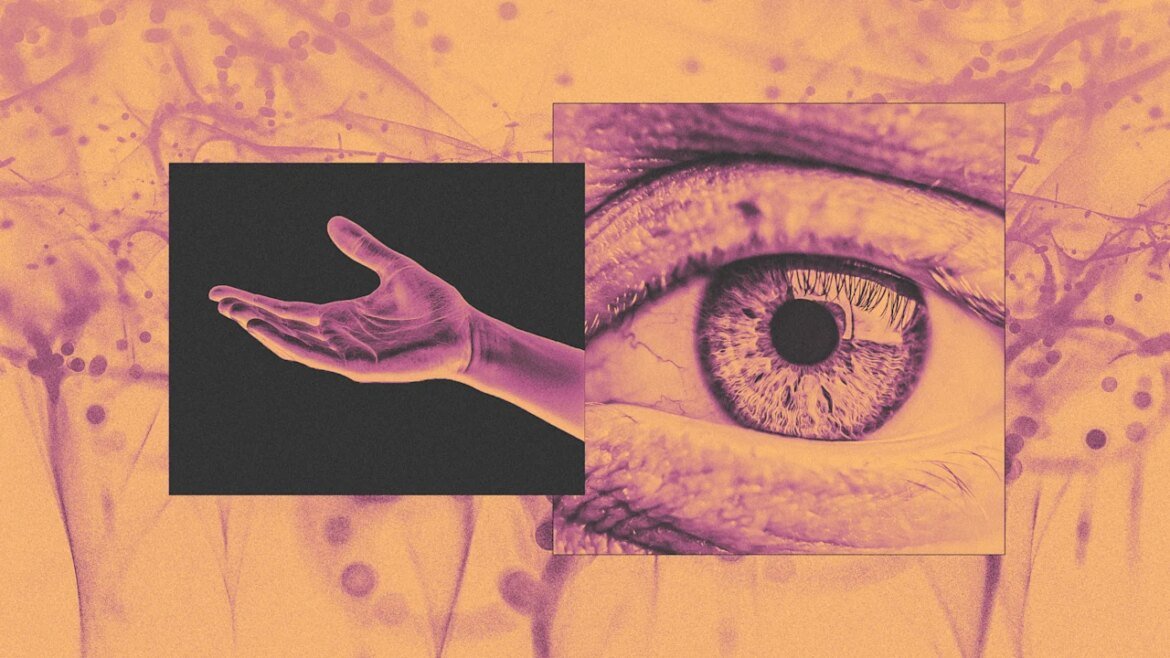 9 tips for managing with empathy from a neuroscientist