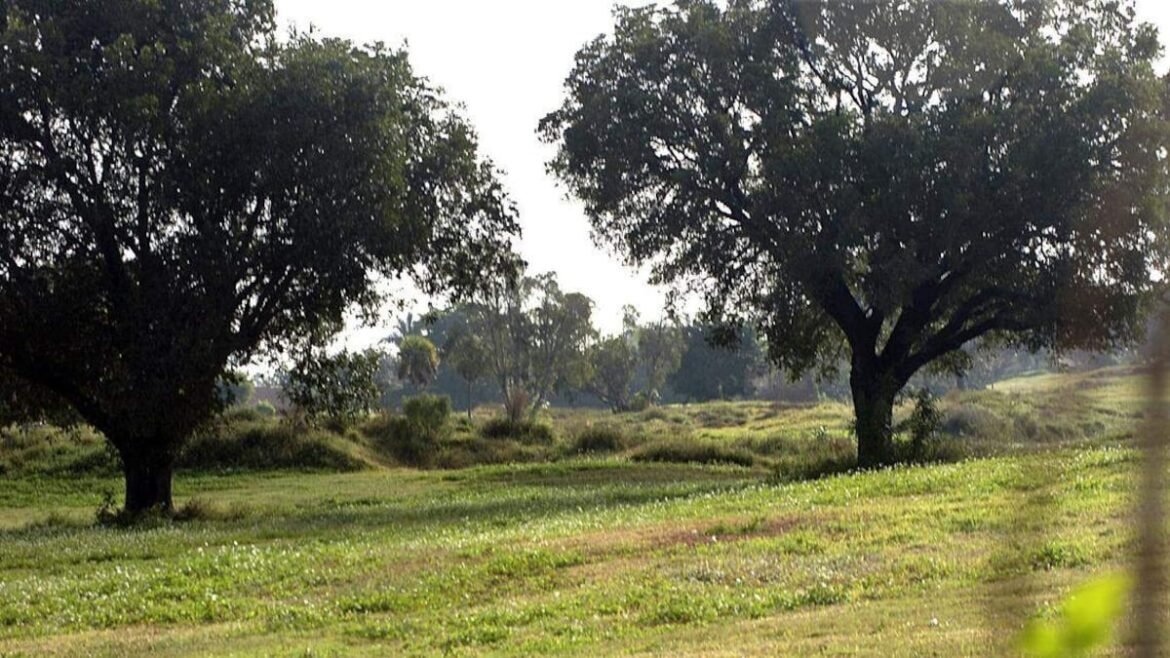 A Florida golf course closed 15 years ago. Now, 500 homes on the way