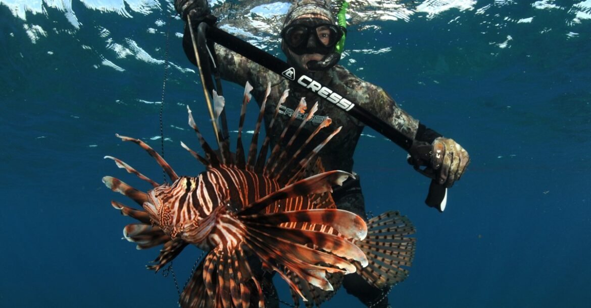 A new VC fund for biodiversity thinks these startups can score big financial — and environmental — wins