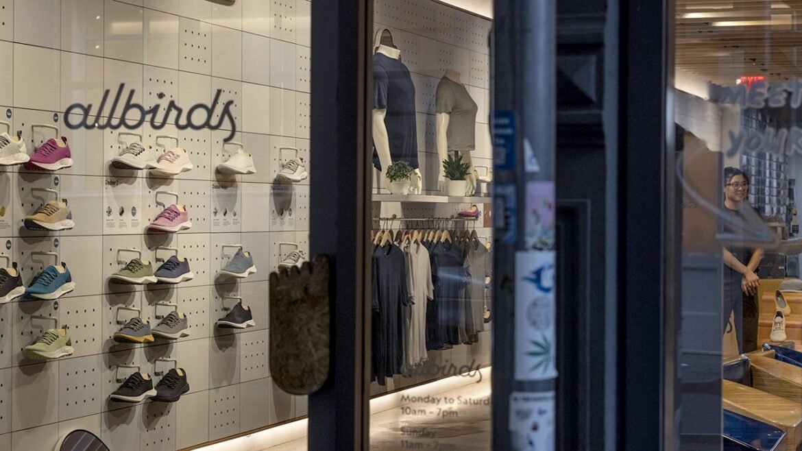 Allbirds pivots from sneakers to AI infrastructure, rebrands as NewBird AI