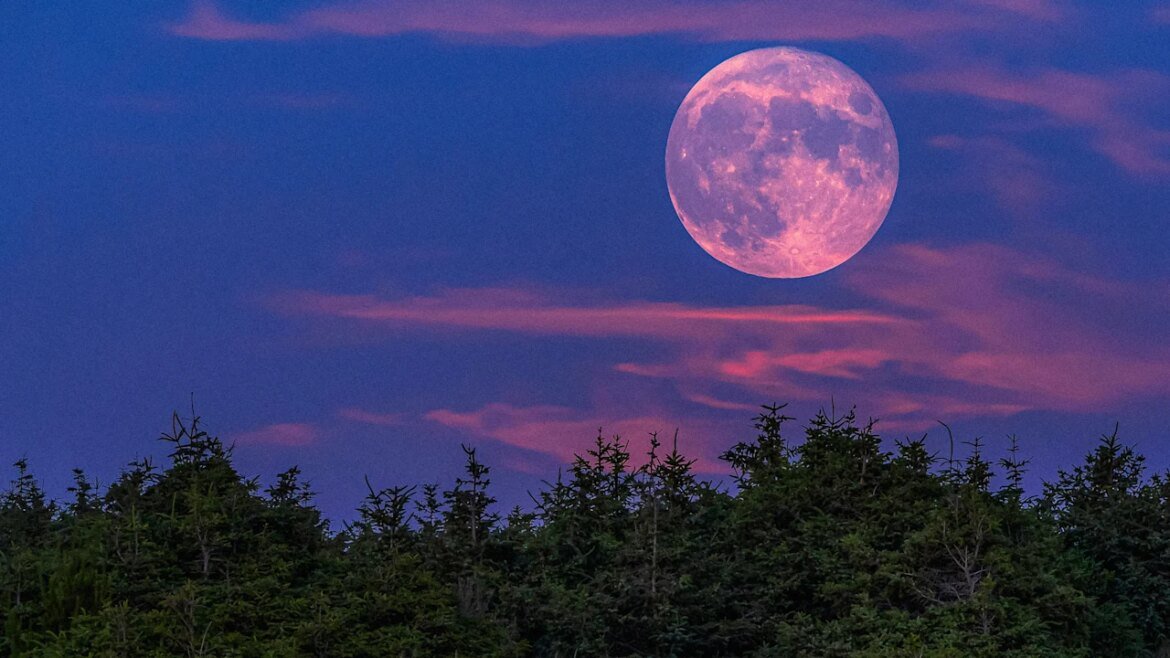 April 2026 full moon tonight: ‘Pink moon’ could rise alongside NASA Artemis II launch. Here’s when to look up