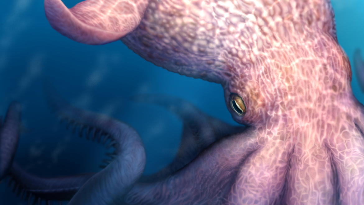 Colossal octopuses once stalked the ancient oceans : NPR