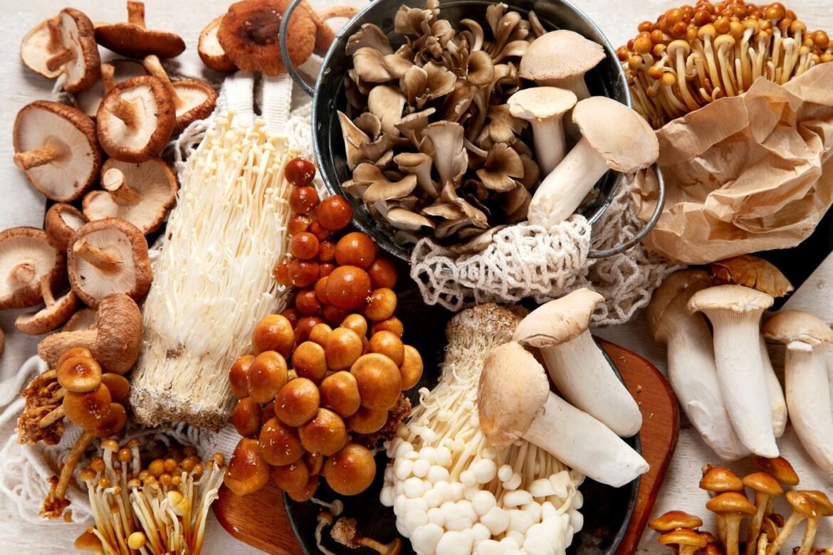 Compass, Usona and Transcend score FDA national priority vouchers amid Trump administration’s psychedelic push