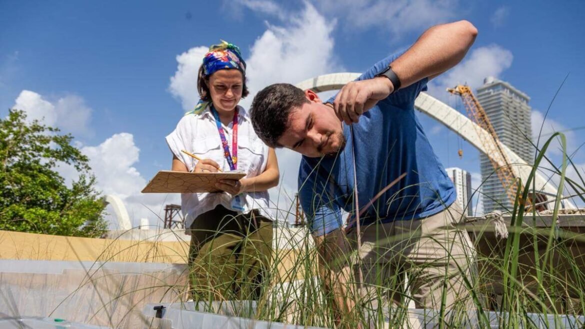 Could crushing recycled bottles into sand help protect Florida’s coast?