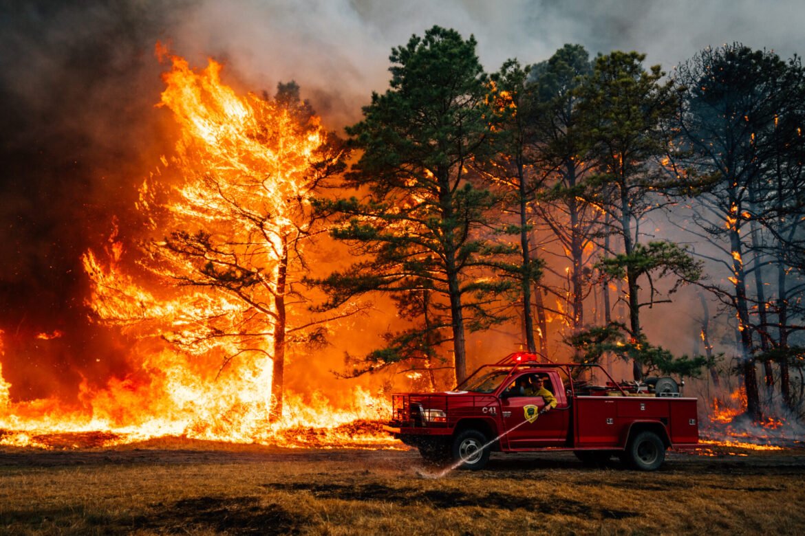 Forest officials urge caution as wildfire season starts in NJ • New Jersey Monitor
