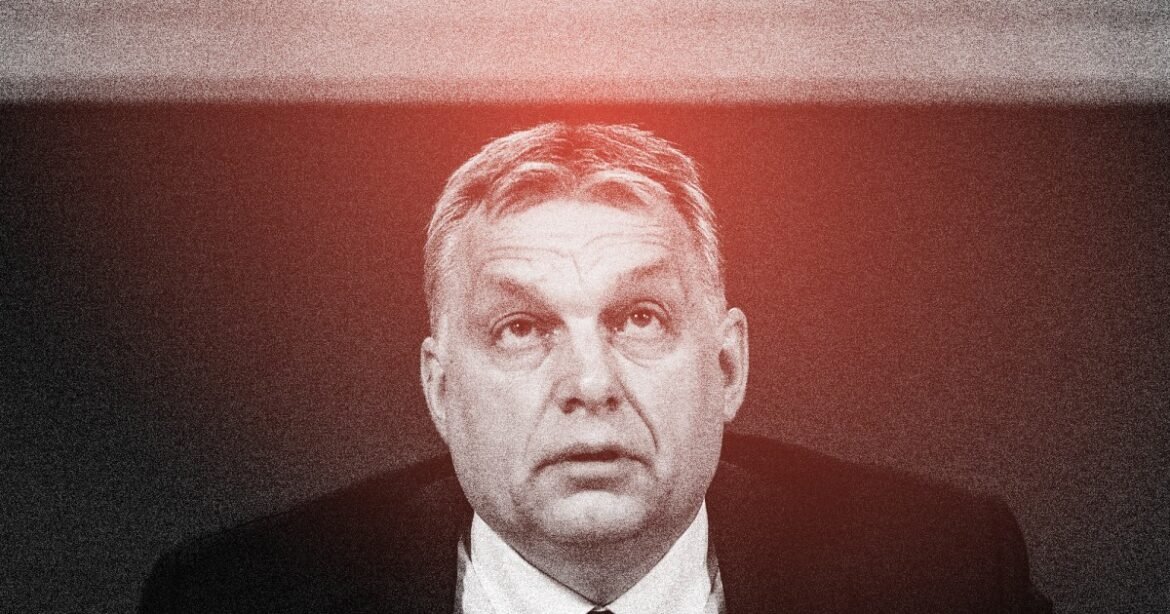 How to Defeat a Very Trumpy Authoritarian Leader—Maybe – Mother Jones