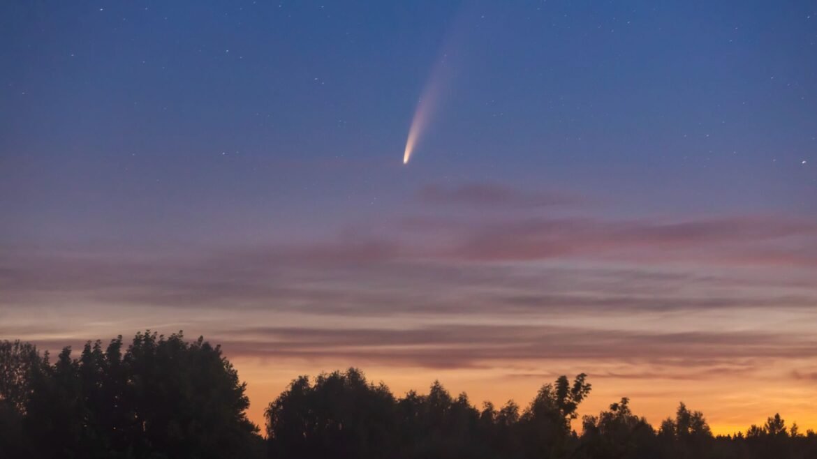 A bright streak of pink and white light is seen in a light purple and orange dusky sky as a comet moves above silhouetted trees below.