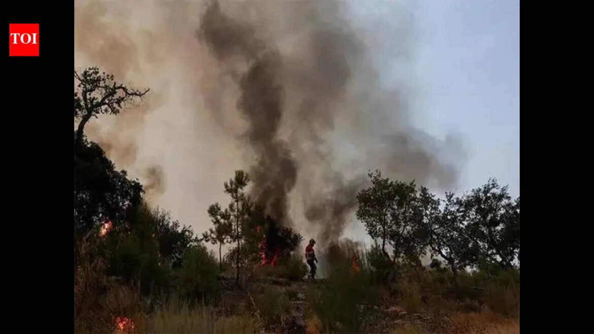 India submits its new climate action pledges to...