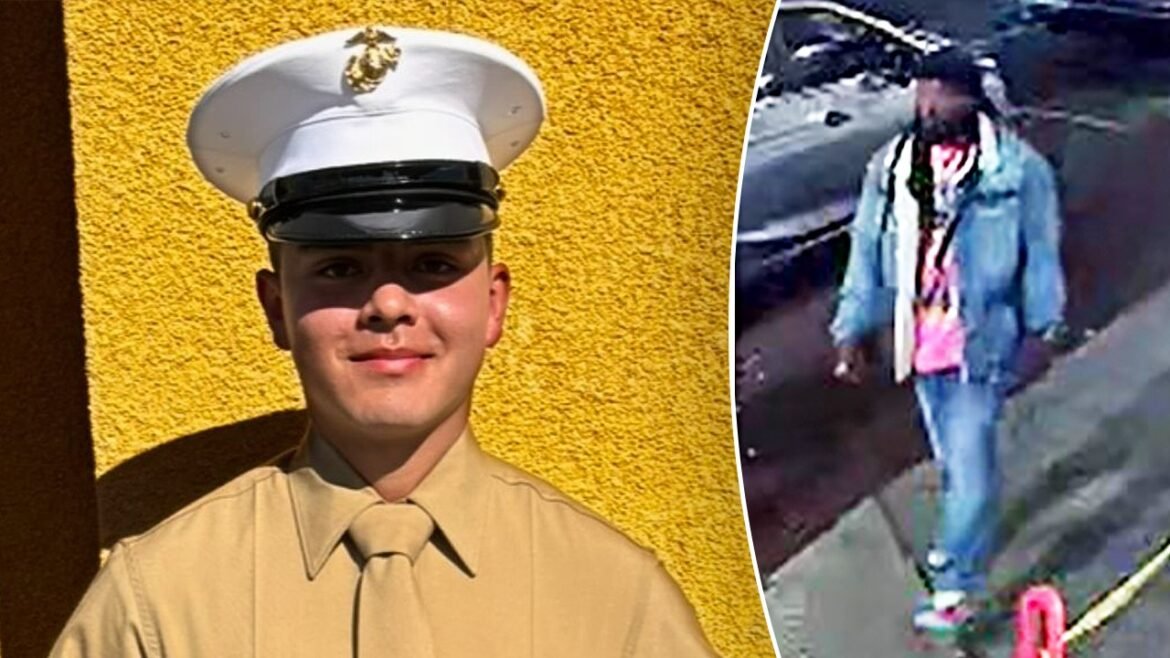Marine killed in Wilmington stabbing in chaotic...
