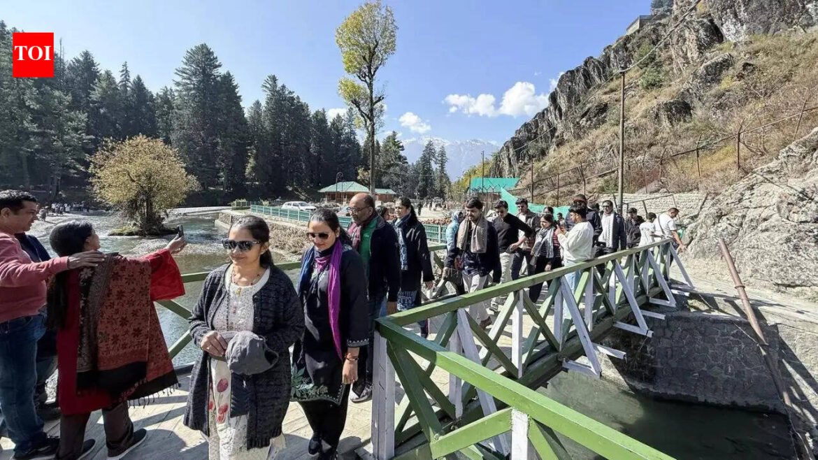 Not card but code: Identity in terror-scarred...