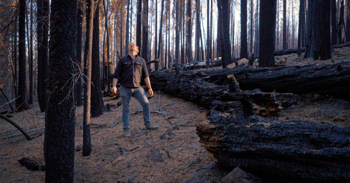 Poisoning the Forest for the Trees – Mother Jones