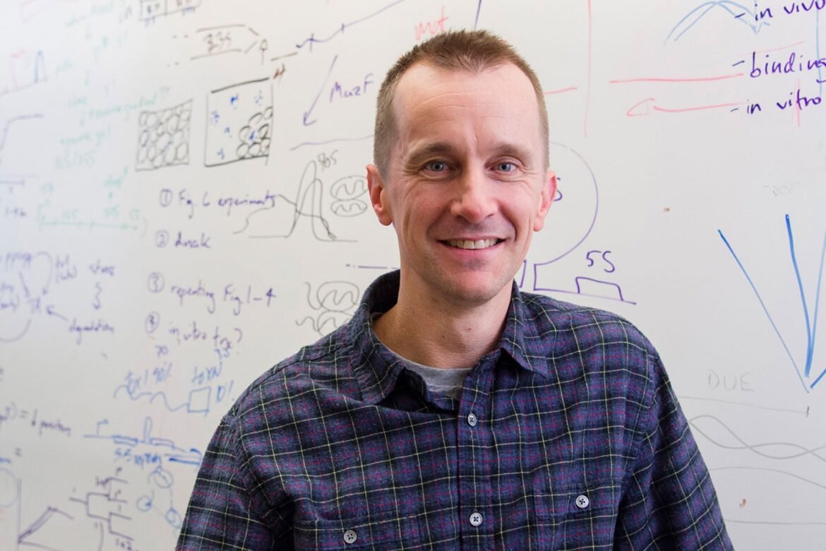 Professor Michael Laub and MIT alumni named 2025 AAAS Fellows | MIT News