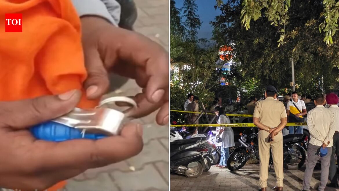 Punjab: Suspect seen throwing grenade-like object...