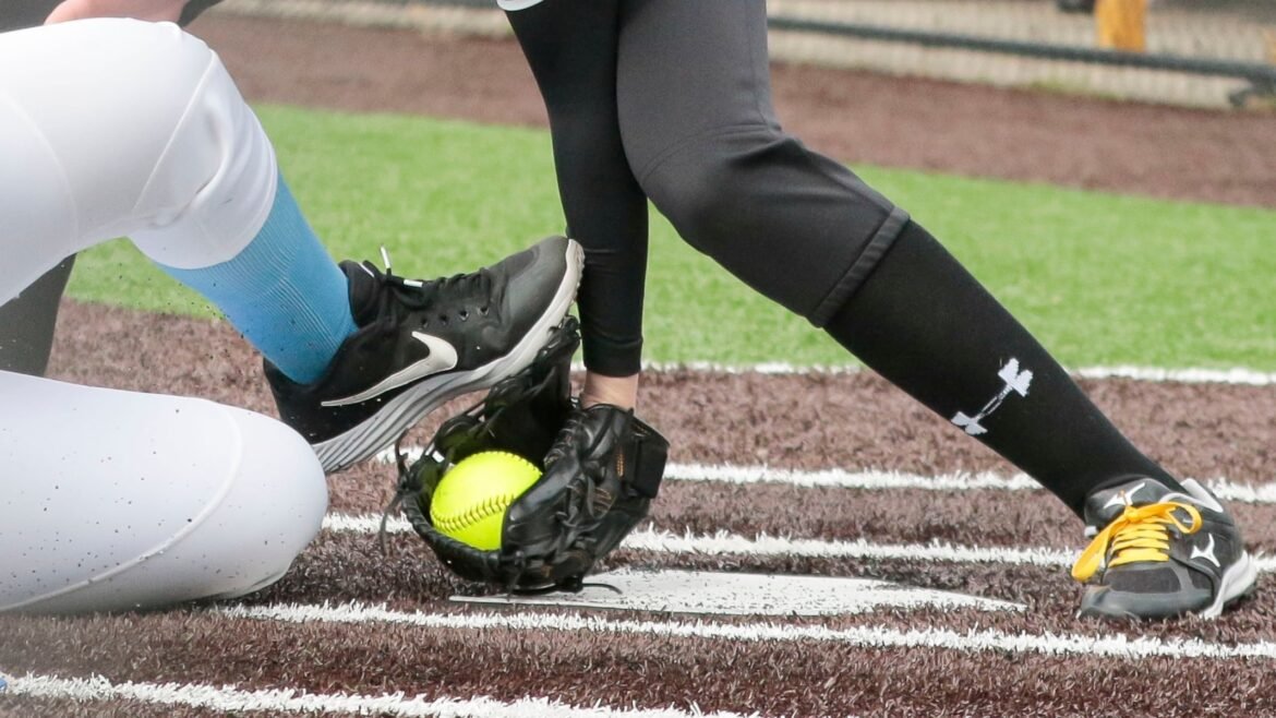 Sayreville stays unbeaten, Arena tosses shutout against Roselle Park - Softball recap