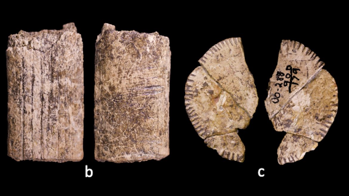 Scientists May Have Uncovered The World's Oldest Dice : ScienceAlert