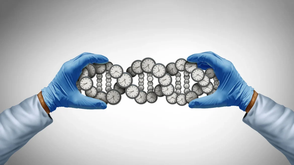 Scientists were wrong about lifespan. Your genes matter way more than we thought